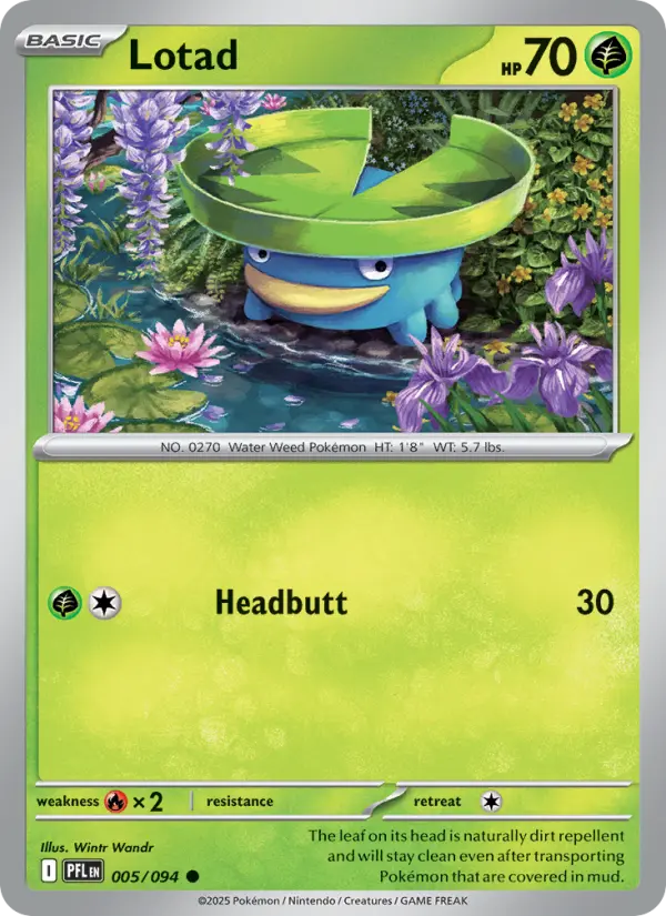 Lotad — Phantasmal Flames card #005