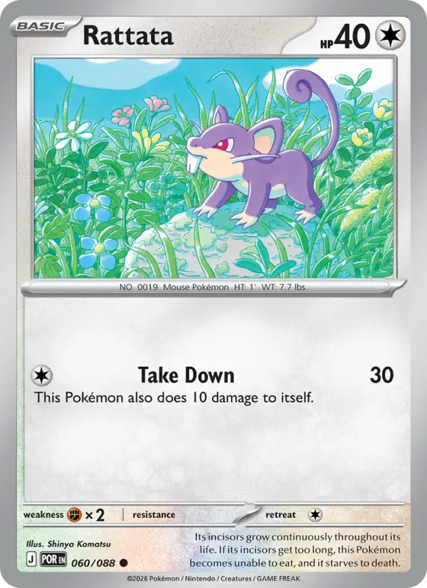 Rattata — Perfect Order card #060