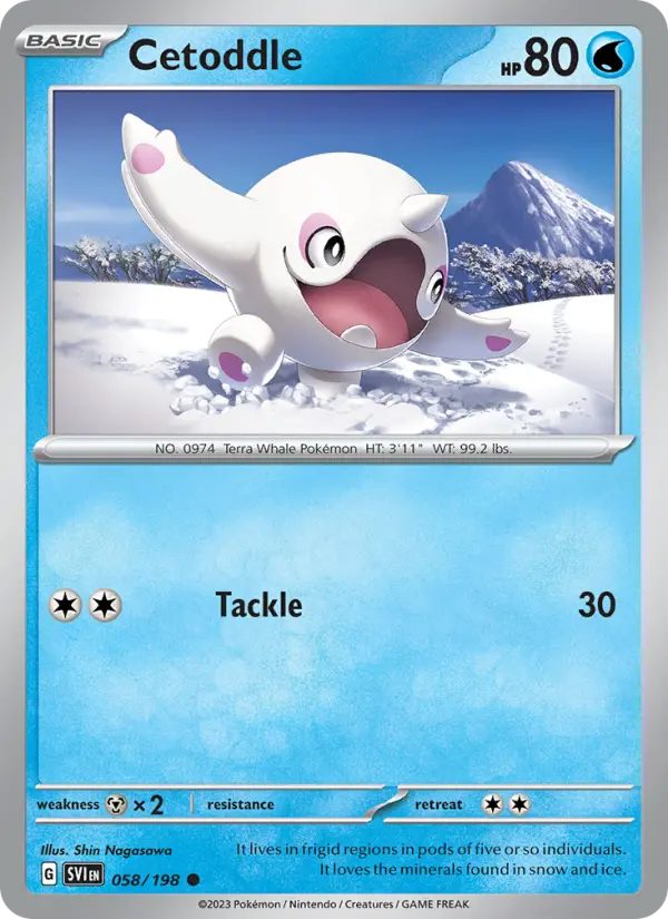 Cetoddle — Scarlet & Violet card #058
