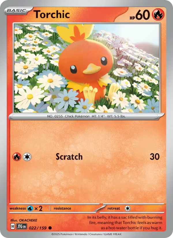Torchic — Journey Together card #022