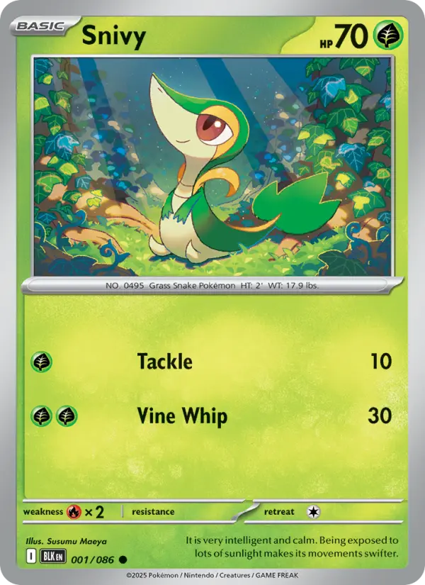 Snivy — Black Bolt card #001