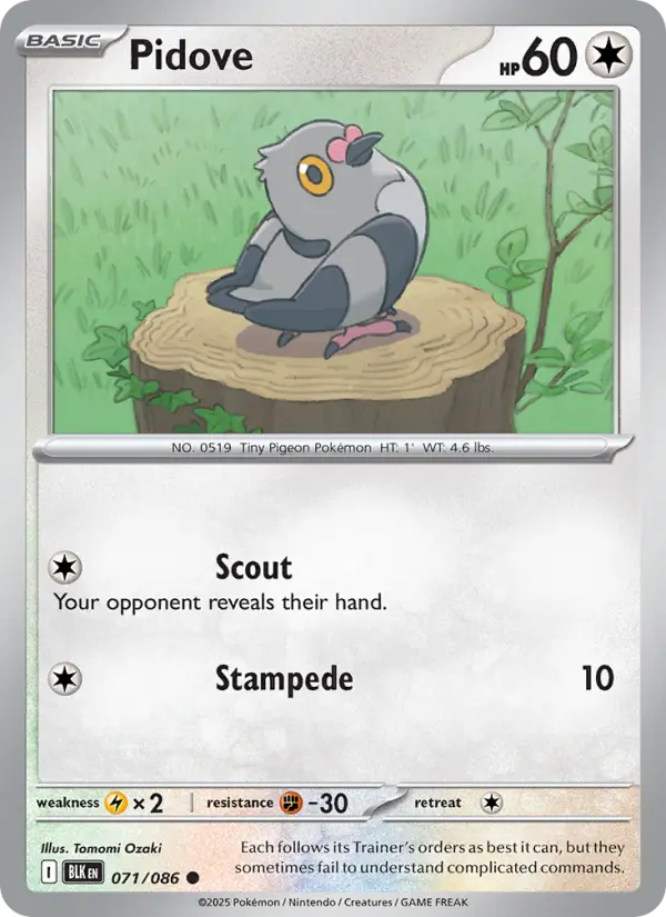 Pidove — Black Bolt card #071