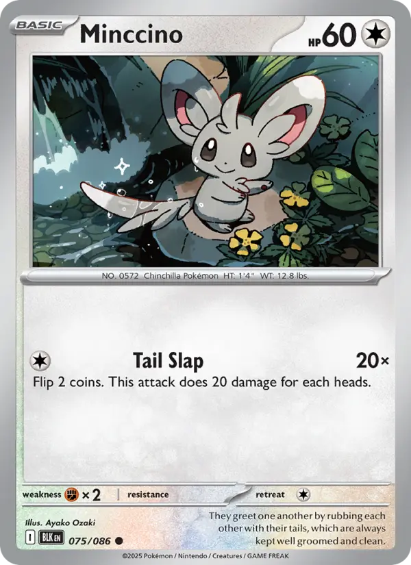 Minccino — Black Bolt card #075