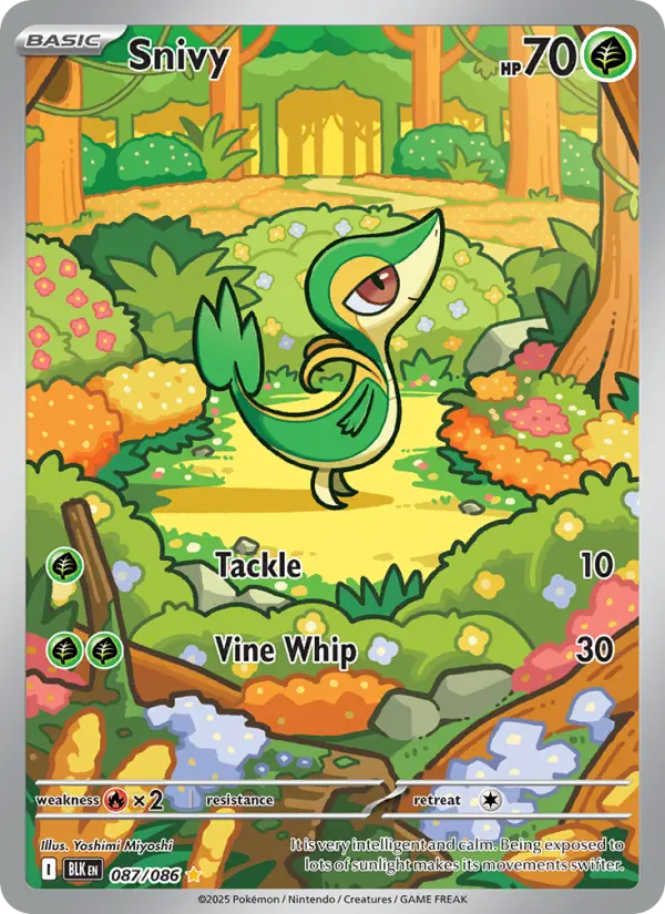 Snivy — Black Bolt card #087