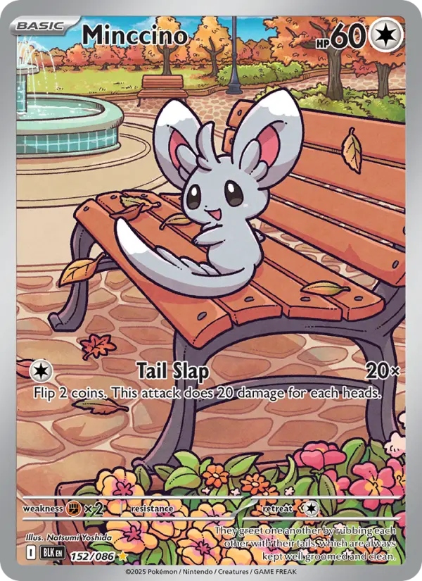 Minccino — Black Bolt card #152