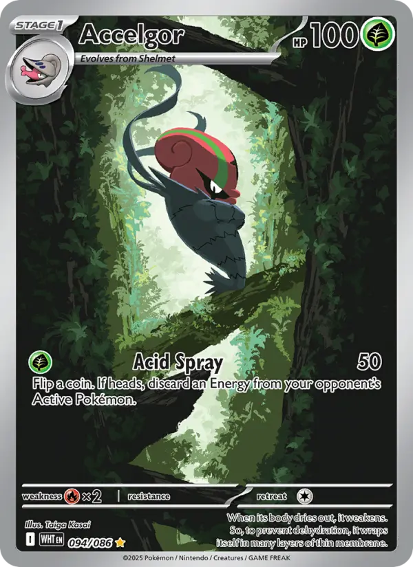 Accelgor — White Flare card #094