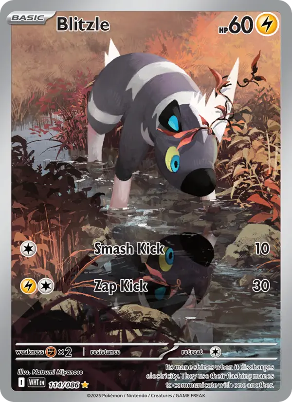 Blitzle — White Flare card #114