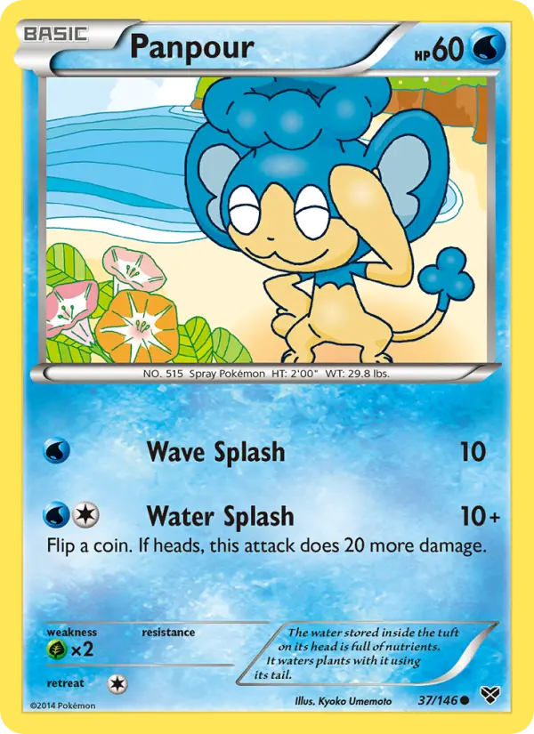 Panpour — XY card #37