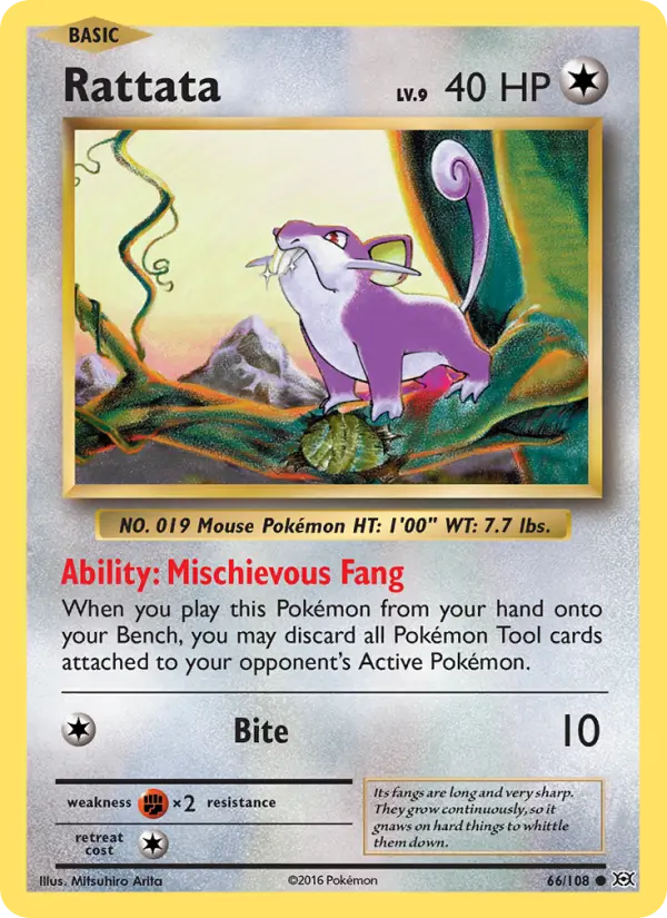 Rattata — Evolutions card #66