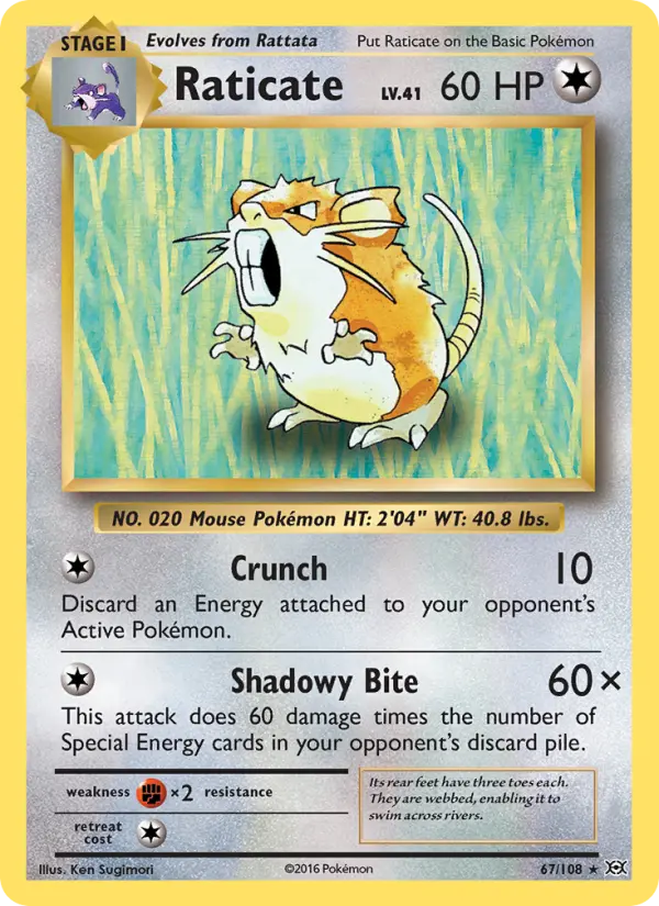 Raticate — Evolutions card #67