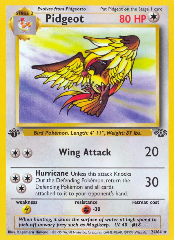 Pidgeot — Jungle card #24