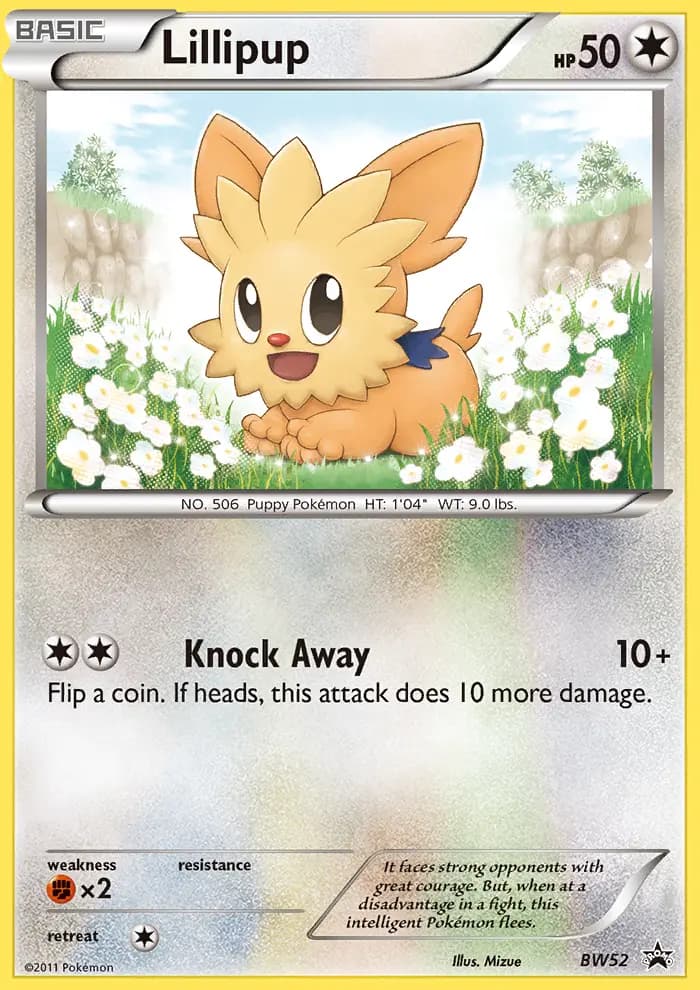 Lillipup — BW Black Star Promos card #BW52