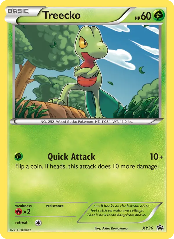 Treecko — XY Black Star Promos card #XY36