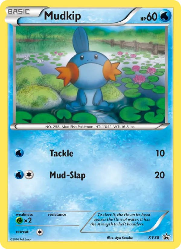 Mudkip — XY Black Star Promos card #XY38