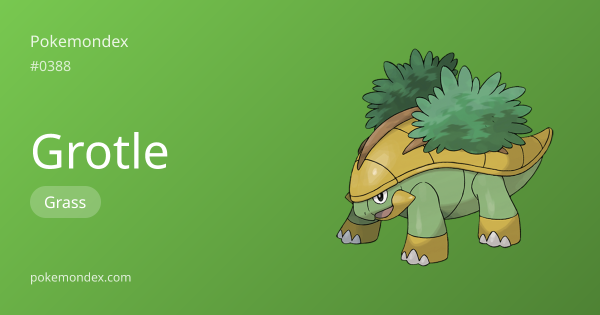 Grotle Pokédex Entry — Biology, Battle Guide & Locations | Pokemondex