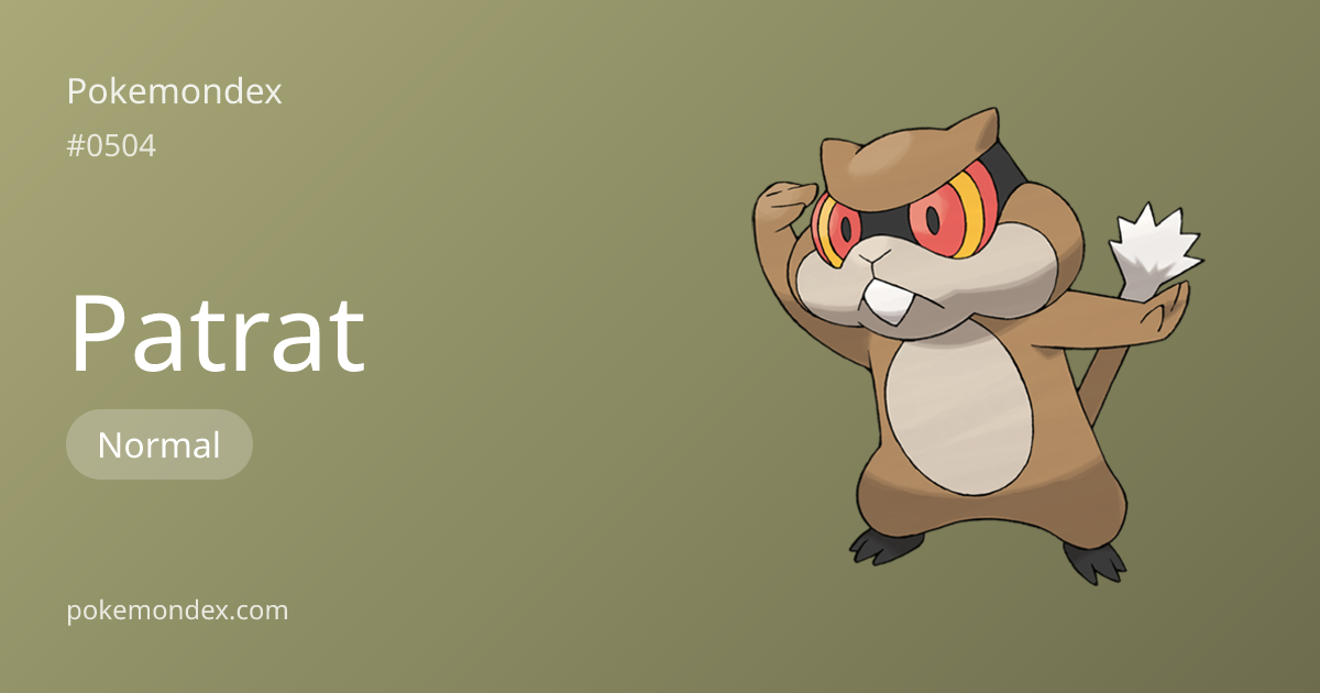 Patrat (normal-type) — Stats, Weaknesses & Where to Find | Pokemondex