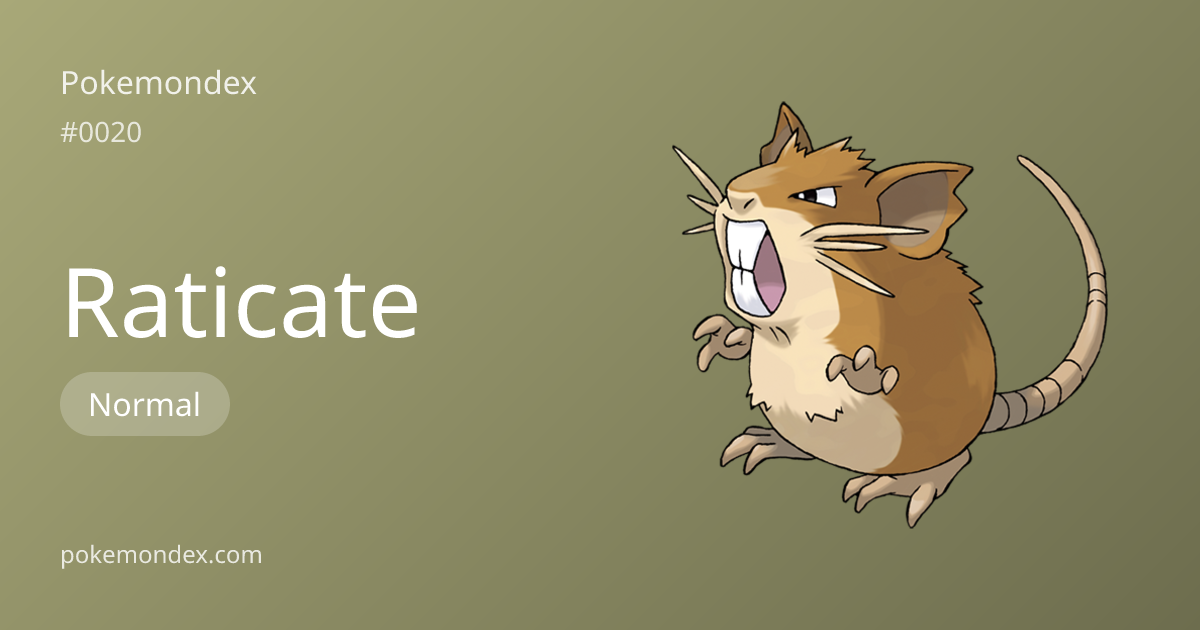 Raticate (#20) — Stats, Moves & Competitive Guide